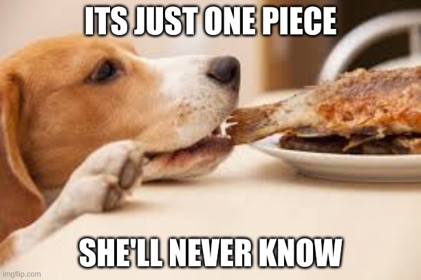 sneaky pupper | ITS JUST ONE PIECE; SHE'LL NEVER KNOW | image tagged in sneaky | made w/ Imgflip meme maker