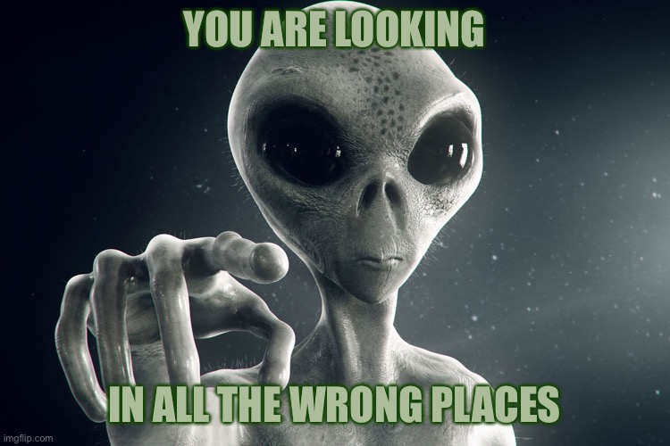 Alien Pointing | YOU ARE LOOKING IN ALL THE WRONG PLACES | image tagged in alien pointing | made w/ Imgflip meme maker