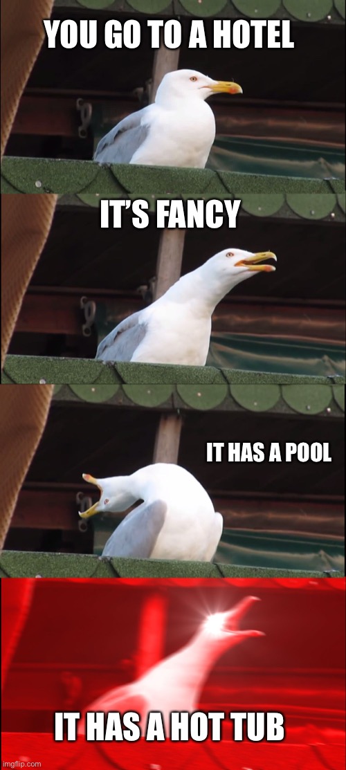 Inhaling Seagull | YOU GO TO A HOTEL; IT’S FANCY; IT HAS A POOL; IT HAS A HOT TUB | image tagged in memes,inhaling seagull | made w/ Imgflip meme maker