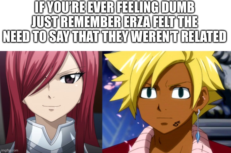 IF YOU’RE EVER FEELING DUMB JUST REMEMBER ERZA FELT THE NEED TO SAY THAT THEY WEREN’T RELATED | made w/ Imgflip meme maker