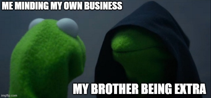 Evil Kermit | ME MINDING MY OWN BUSINESS; MY BROTHER BEING EXTRA | image tagged in memes,evil kermit | made w/ Imgflip meme maker