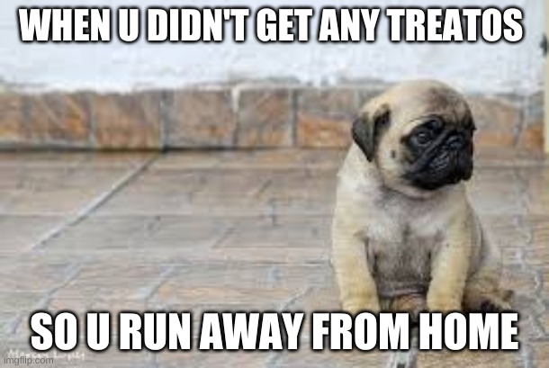 sad pupper | WHEN U DIDN'T GET ANY TREATOS; SO U RUN AWAY FROM HOME | image tagged in sad,cute | made w/ Imgflip meme maker