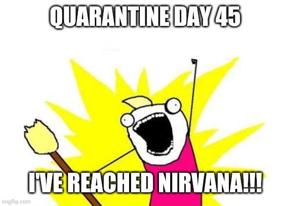 X All The Y Meme | QUARANTINE DAY 45; I'VE REACHED NIRVANA!!! | image tagged in memes,x all the y | made w/ Imgflip meme maker