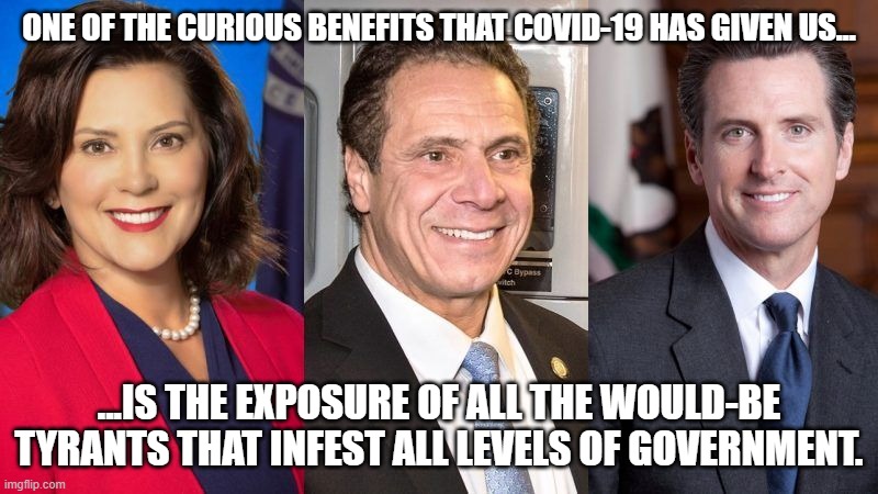 Rooting Out Tyranny, Wherever It Might Fester | ONE OF THE CURIOUS BENEFITS THAT COVID-19 HAS GIVEN US... ...IS THE EXPOSURE OF ALL THE WOULD-BE TYRANTS THAT INFEST ALL LEVELS OF GOVERNMENT. | image tagged in whitmer cuomo newsom | made w/ Imgflip meme maker