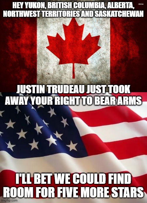 Let's connect Alaska to the rest of the United States | HEY YUKON, BRITISH COLUMBIA, ALBERTA, NORTHWEST TERRITORIES AND SASKATCHEWAN; JUSTIN TRUDEAU JUST TOOK AWAY YOUR RIGHT TO BEAR ARMS; I'LL BET WE COULD FIND ROOM FOR FIVE MORE STARS | image tagged in american flag,canada flag,justin trudeau,2nd amendment,secession | made w/ Imgflip meme maker