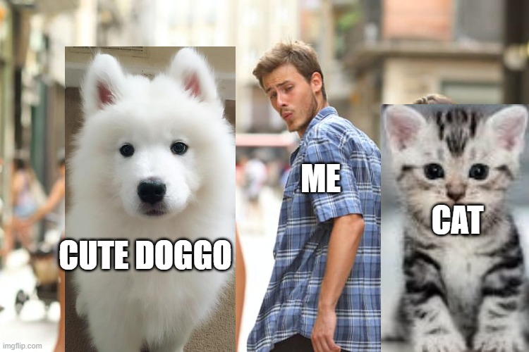 Distracted Boyfriend Meme | ME; CAT; CUTE DOGGO | image tagged in memes,distracted boyfriend | made w/ Imgflip meme maker