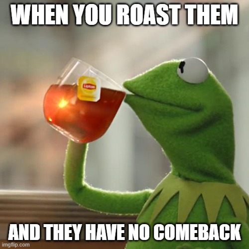 But That's None Of My Business | WHEN YOU ROAST THEM; AND THEY HAVE NO COMEBACK | image tagged in memes,but that's none of my business,kermit the frog | made w/ Imgflip meme maker