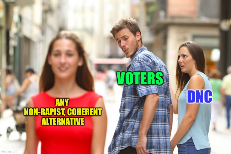 ANY 
NON-RAPIST, COHERENT
 ALTERNATIVE VOTERS DNC | image tagged in memes,distracted boyfriend | made w/ Imgflip meme maker