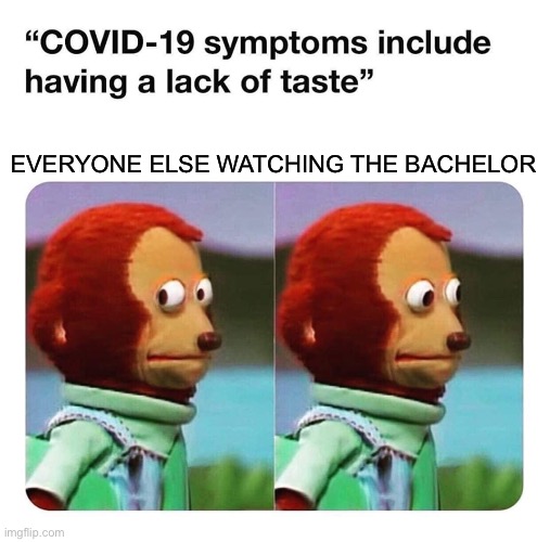 EVERYONE ELSE WATCHING THE BACHELOR | image tagged in covid lack of taste,monkey puppet | made w/ Imgflip meme maker