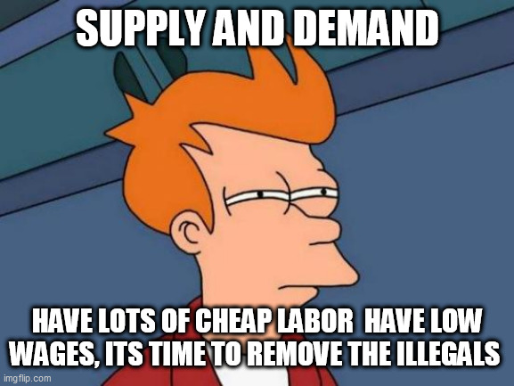 Futurama Fry Meme | SUPPLY AND DEMAND; HAVE LOTS OF CHEAP LABOR  HAVE LOW WAGES, ITS TIME TO REMOVE THE ILLEGALS | image tagged in memes,futurama fry | made w/ Imgflip meme maker