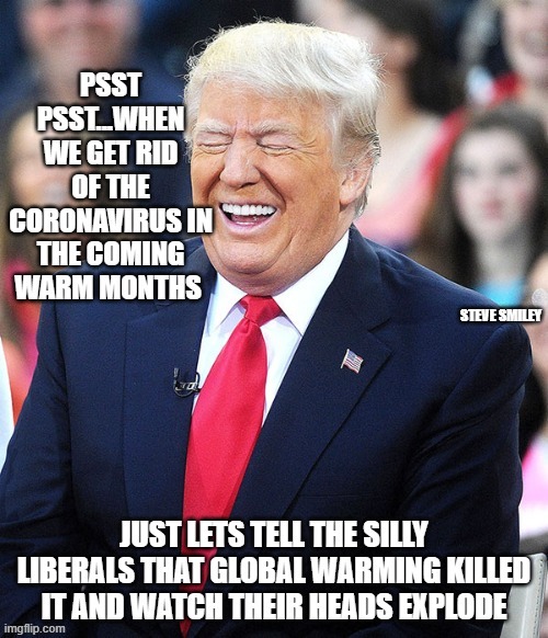 politics | STEVE SMILEY | image tagged in political meme | made w/ Imgflip meme maker