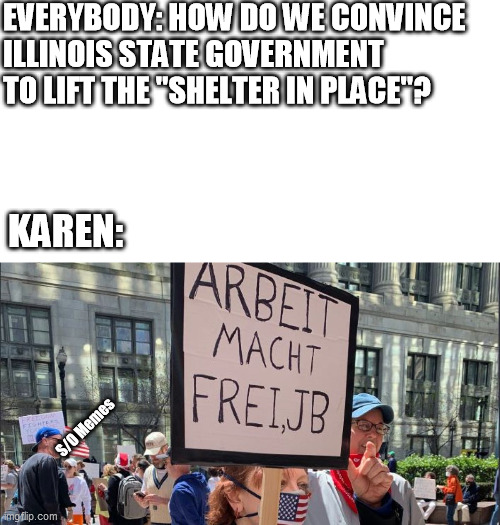 Nazi Karen | EVERYBODY: HOW DO WE CONVINCE ILLINOIS STATE GOVERNMENT TO LIFT THE "SHELTER IN PLACE"? KAREN:; S/O Memes | image tagged in nazi karen | made w/ Imgflip meme maker