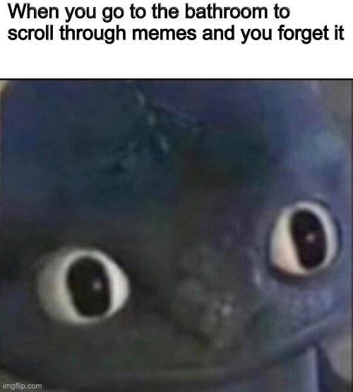 Toothless staring | When you go to the bathroom to scroll through memes and you forget it | image tagged in funny | made w/ Imgflip meme maker