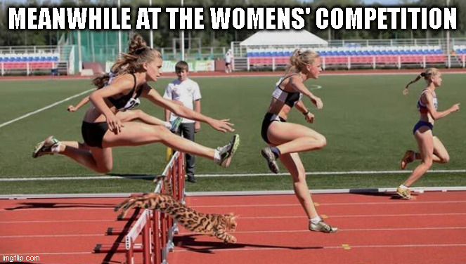 MEANWHILE AT THE WOMENS' COMPETITION | made w/ Imgflip meme maker