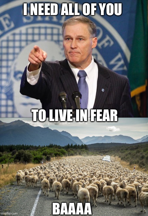 Governor Jay Inslee Covid | I NEED ALL OF YOU; TO LIVE IN FEAR; BAAAA | image tagged in coronavirus,covid19,lockdown,constitution | made w/ Imgflip meme maker