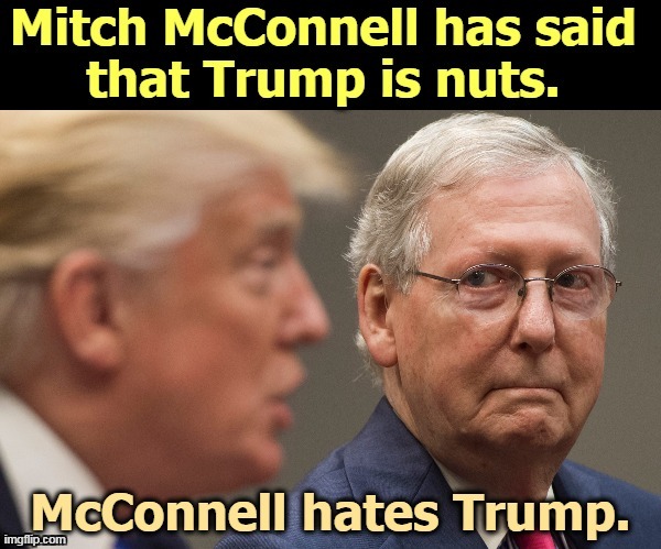 It's not just Democrats who hate Trump and think he's crazy. It's Republicans, too. | image tagged in trump,crazy,nuts,insane,mitch mcconnell | made w/ Imgflip meme maker