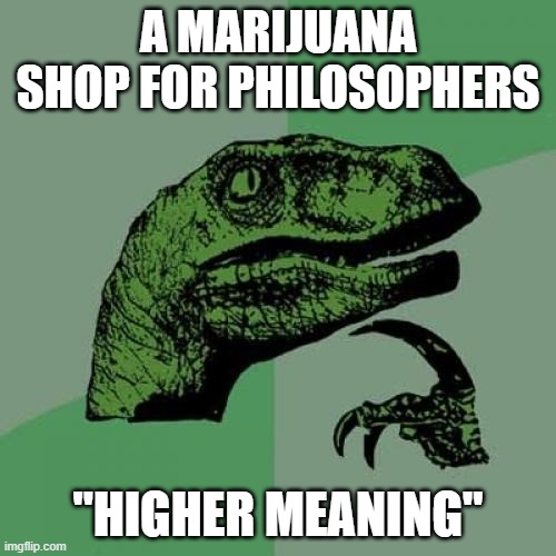 Philosoraptor | A MARIJUANA SHOP FOR PHILOSOPHERS; "HIGHER MEANING" | image tagged in memes,philosoraptor | made w/ Imgflip meme maker