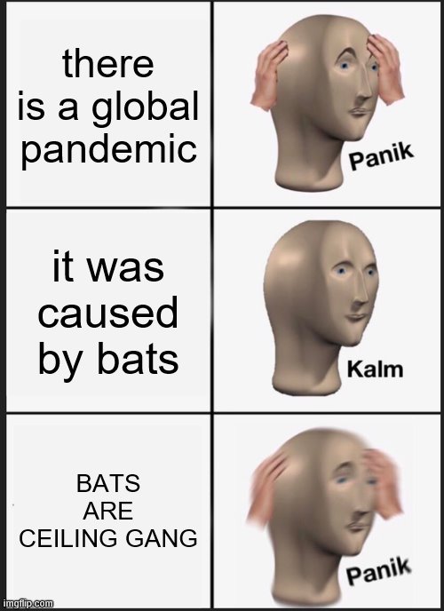 Bats Are Ceiling Gang Everybody Imgflip