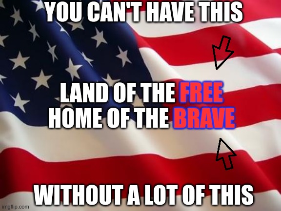 There is a price for freedom | YOU CAN'T HAVE THIS; FREE; LAND OF THE FREE
HOME OF THE BRAVE; BRAVE; WITHOUT A LOT OF THIS | image tagged in american flag,freedom,bravery | made w/ Imgflip meme maker