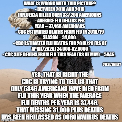 politics | STEVE SMILEY | image tagged in political meme | made w/ Imgflip meme maker