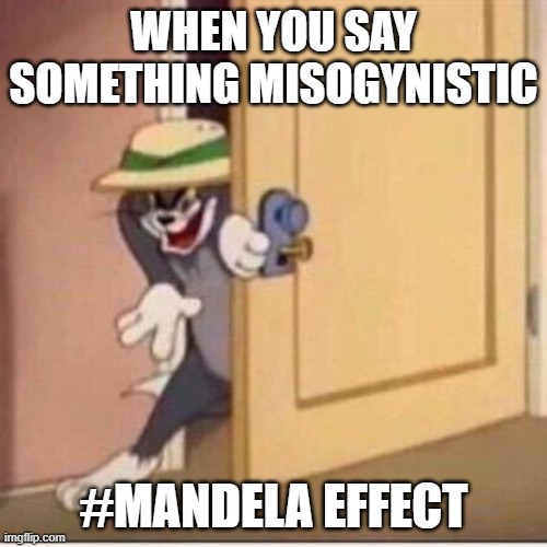 Misogynistc Tom | WHEN YOU SAY SOMETHING MISOGYNISTIC; #MANDELA EFFECT | image tagged in sneaky tom | made w/ Imgflip meme maker