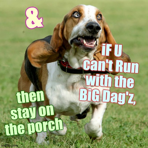&; iF U can't Run with the BiG Dag'z, then stay on the porch | image tagged in prince andrew,copy,parliament | made w/ Imgflip meme maker