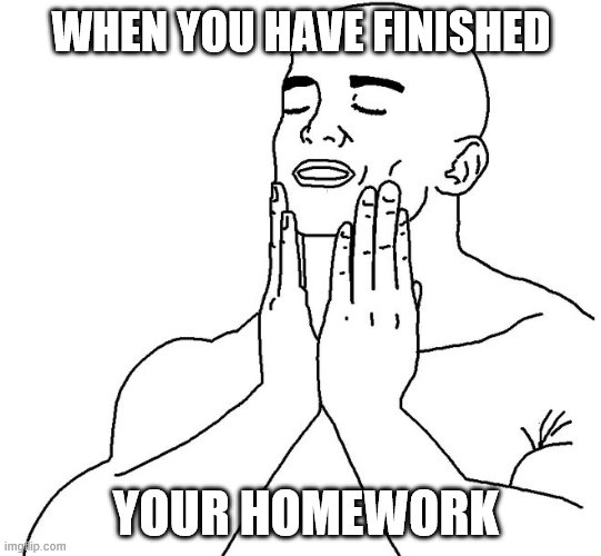 Satisfaction | WHEN YOU HAVE FINISHED; YOUR HOMEWORK | image tagged in satisfaction | made w/ Imgflip meme maker
