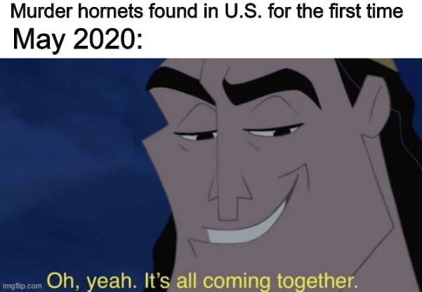 2020 is a bad year | Murder hornets found in U.S. for the first time; May 2020: | image tagged in it's all coming together,murder hornets,2020 | made w/ Imgflip meme maker