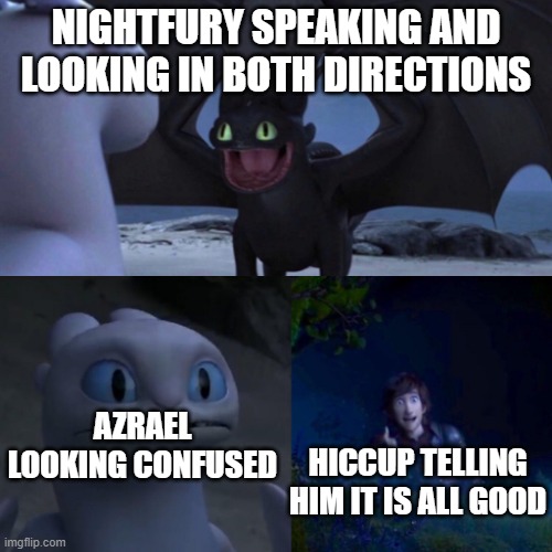 HTTYD Thumbs up | NIGHTFURY SPEAKING AND LOOKING IN BOTH DIRECTIONS; AZRAEL LOOKING CONFUSED; HICCUP TELLING HIM IT IS ALL GOOD | image tagged in httyd thumbs up,dont read the tags,what did i tell you,read the next one,sub to anoyth | made w/ Imgflip meme maker