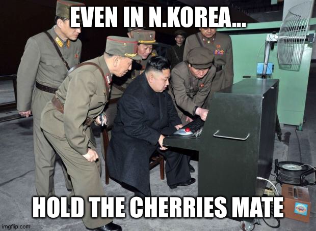 Fruity Expert | EVEN IN N.KOREA... HOLD THE CHERRIES MATE | image tagged in kim jong un computer | made w/ Imgflip meme maker