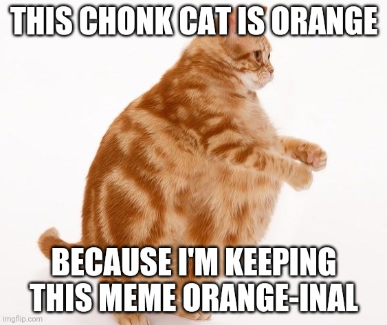 Orange Man Theme Week Meme pt.2 | THIS CHONK CAT IS ORANGE; BECAUSE I'M KEEPING THIS MEME ORANGE-INAL | image tagged in chonk cat dance,orange man theme week | made w/ Imgflip meme maker