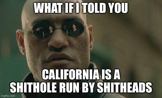 California is a shithole | WHAT IF I TOLD YOU; CALIFORNIA IS A SHITHOLE RUN BY SHITHEADS | image tagged in memes,matrix morpheus,california,shithole,shit,politicians suck | made w/ Imgflip meme maker