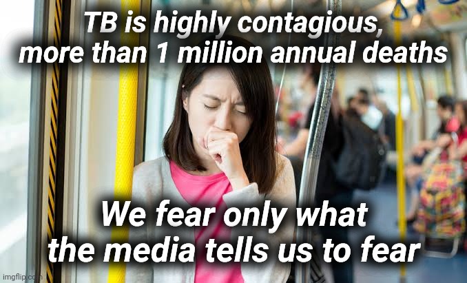 Media Virus | TB is highly contagious, more than 1 million annual deaths; We fear only what the media tells us to fear | image tagged in media,coronavirus,virus,fear | made w/ Imgflip meme maker
