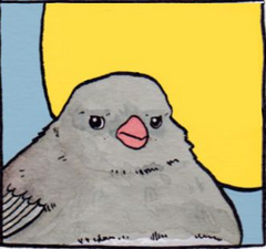 High Quality Annoyed Bird (focus) Blank Meme Template