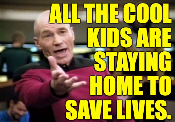 Picard Wtf Meme | ALL THE COOL
KIDS ARE
STAYING
HOME TO
SAVE LIVES. | image tagged in memes,picard wtf | made w/ Imgflip meme maker