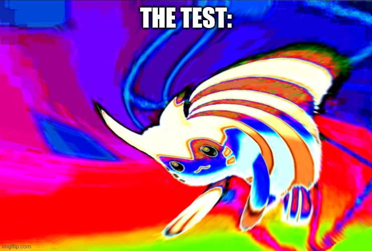 Cursed Furret | THE TEST: | image tagged in cursed furret | made w/ Imgflip meme maker