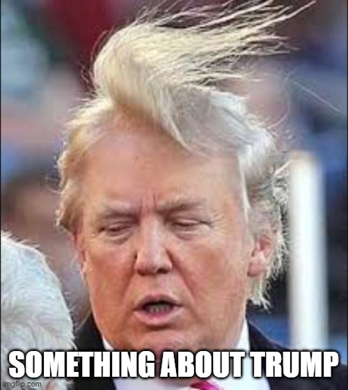 real hair | SOMETHING ABOUT TRUMP | image tagged in trump hair,trump | made w/ Imgflip meme maker