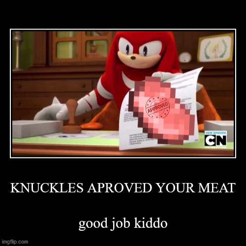 Knuckles Aproved Your Meet | image tagged in funny,demotivationals,knuckles,sonic boom,sonic and knuckles stack | made w/ Imgflip demotivational maker