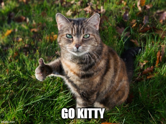 THUMBS UP CAT | GO KITTY | image tagged in thumbs up cat | made w/ Imgflip meme maker