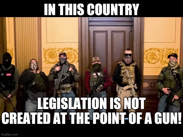 Pandemic Terrorism | IN THIS COUNTRY; LEGISLATION IS NOT CREATED AT THE POINT OF A GUN! | image tagged in memes,covid-19,trump america,trump unfit unqualified dangerous,terrorism,terrorists | made w/ Imgflip meme maker