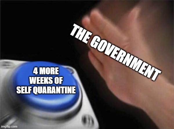 Blank Nut Button Meme | THE GOVERNMENT; 4 MORE WEEKS OF SELF QUARANTINE | image tagged in memes,blank nut button | made w/ Imgflip meme maker