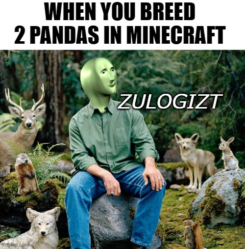 zoologist | WHEN YOU BREED 2 PANDAS IN MINECRAFT; ZULOGIZT | image tagged in ekolojist | made w/ Imgflip meme maker