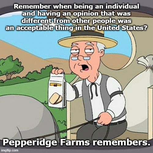 Pepperidge Farm Remembers | Remember when being an individual and having an opinion that was different from other people was an acceptable thing in the United States? Pepperidge Farms remembers. | image tagged in memes,pepperidge farm remembers | made w/ Imgflip meme maker