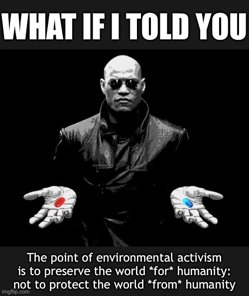 Properly understood, the environmental movement is not misanthropic at all. | WHAT IF I TOLD YOU; The point of environmental activism is to preserve the world *for* humanity: not to protect the world *from* humanity | image tagged in matrix morpheus offer,environment,environmental,humanity,climate change,global warming | made w/ Imgflip meme maker