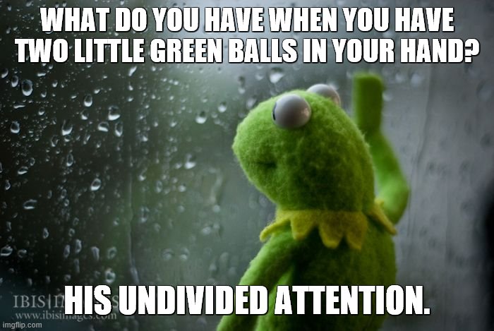 It's not easy being green | WHAT DO YOU HAVE WHEN YOU HAVE TWO LITTLE GREEN BALLS IN YOUR HAND? HIS UNDIVIDED ATTENTION. | image tagged in kermit window,sad kermit,kermit the frog | made w/ Imgflip meme maker