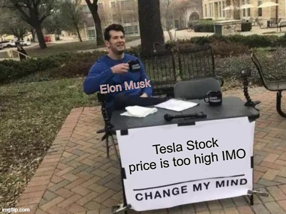 Elon WHY?!? | Elon Musk; Tesla Stock price is too high IMO | image tagged in memes,change my mind,elon musk,stock market,not stonks,dank memes | made w/ Imgflip meme maker