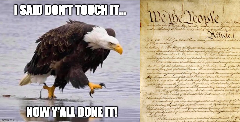 Angry Patriot | I SAID DON'T TOUCH IT... NOW Y'ALL DONE IT! | image tagged in bald eagle,constitution,patriot,patriotic eagle | made w/ Imgflip meme maker