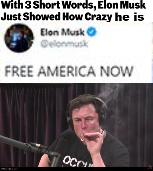 he is | image tagged in elon musk | made w/ Imgflip meme maker