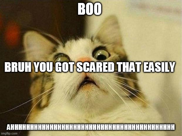 Scared Cat |  BOO; BRUH YOU GOT SCARED THAT EASILY; AHHHHHHHHHHHHHHHHHHHHHHHHHHHHHHHHHHHHHHHHHH | image tagged in memes,scared cat | made w/ Imgflip meme maker