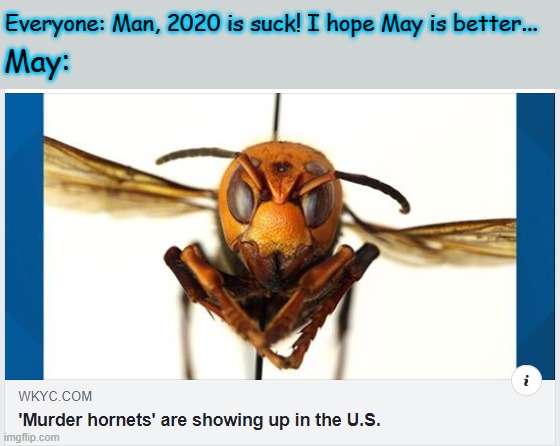 2020 sucks | Everyone: Man, 2020 is suck! I hope May is better... May: | image tagged in 2020,may | made w/ Imgflip meme maker